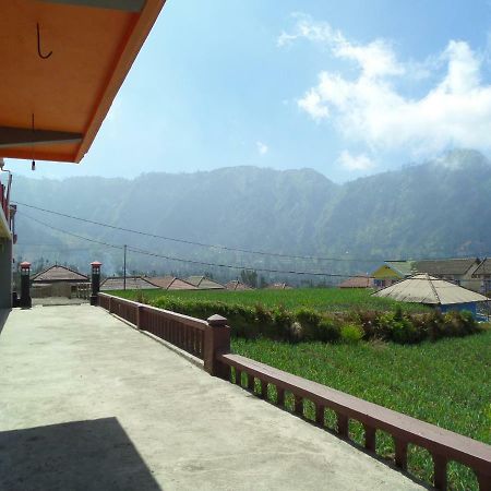 Tengger Indah Homestay 布罗莫 外观 照片