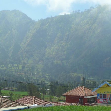Tengger Indah Homestay 布罗莫 外观 照片