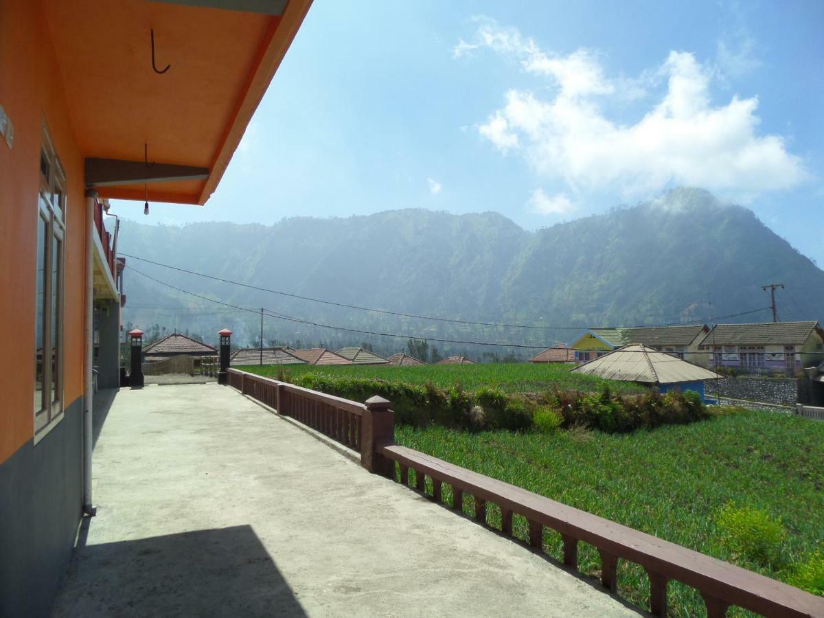 Tengger Indah Homestay 布罗莫 外观 照片