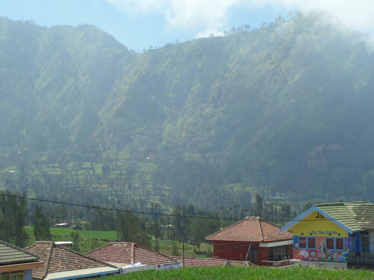 Tengger Indah Homestay 布罗莫 外观 照片