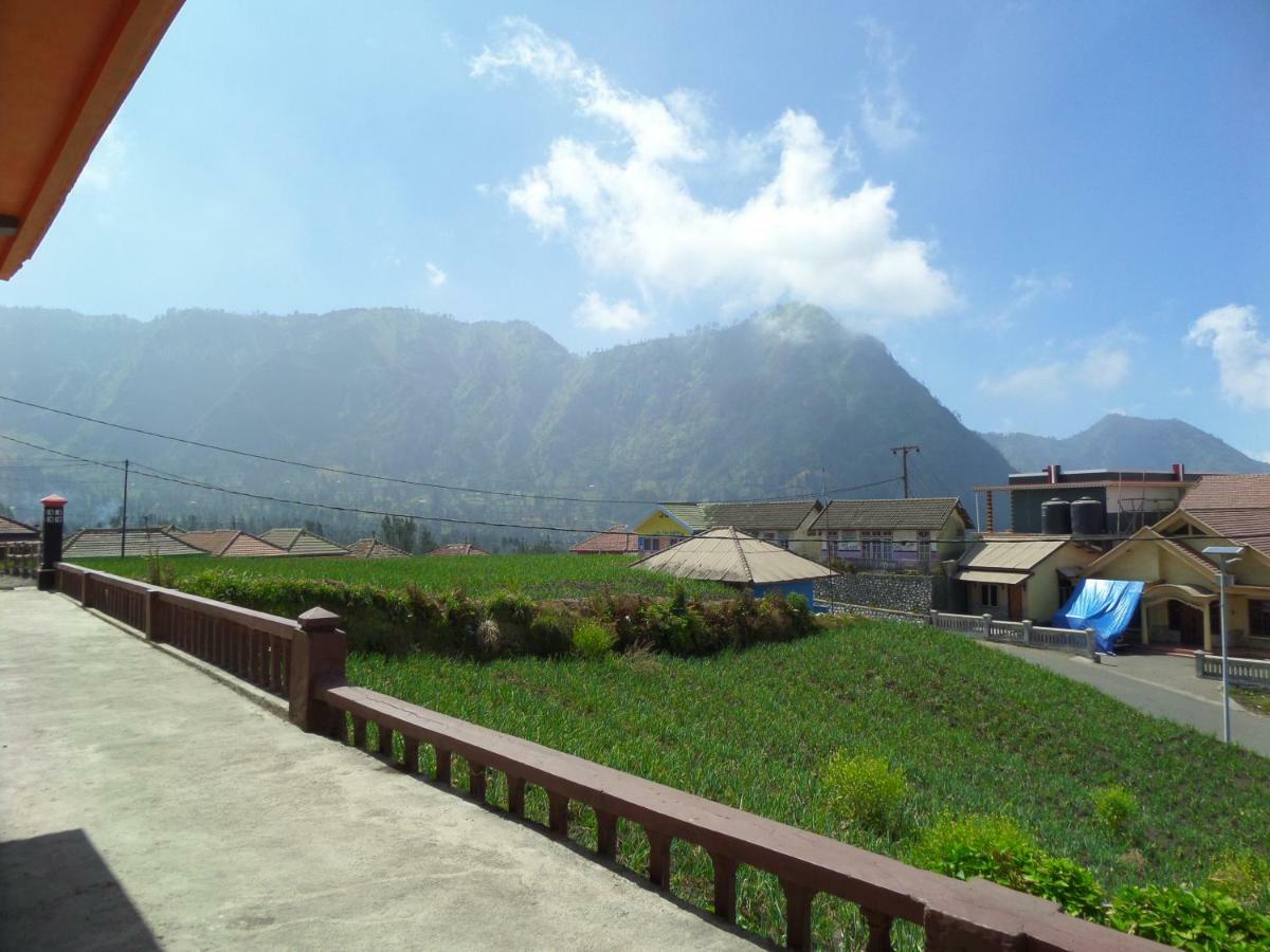 Tengger Indah Homestay 布罗莫 外观 照片